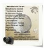 Fluoxymesterone Halotestin Raw Testosterone Powder Cas No.76-43-7